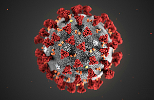 COVID-19 virus