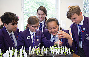 Children taking part in rocket seeds experiment