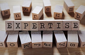Wooden cubes spelling Expertise