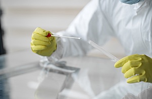 Gloved hands holding a swab test