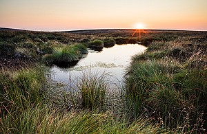 Image of moorlands in the Pennines with pink sky in background