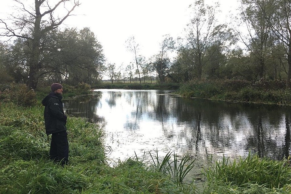 Fish start to spawn again after successful restoration work
