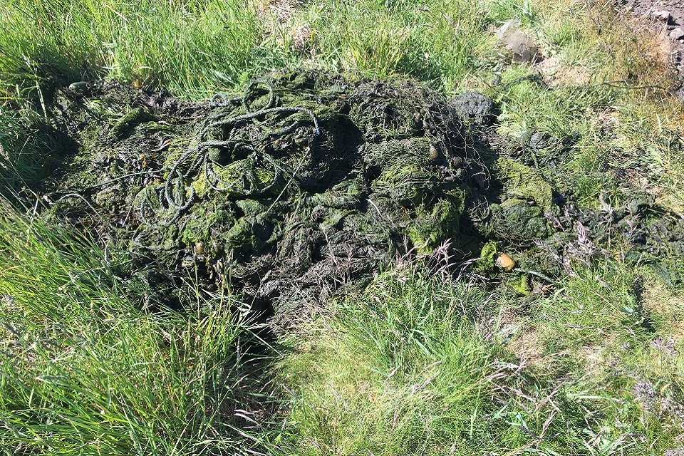 Net seized by the Environment Agency at Blyth
