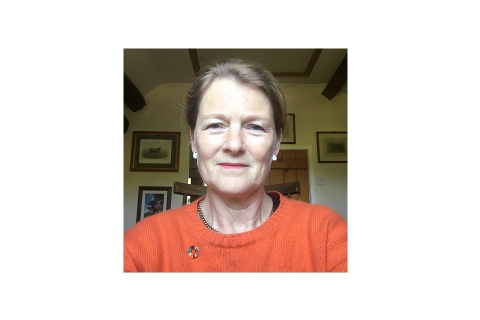 Edition 22: News from the Adjudicator