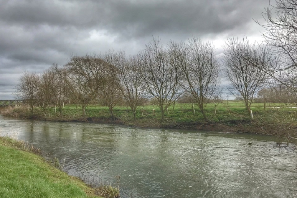Free trees for angling clubs in Cambridgeshire