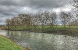 A picture of trees on a river bank.