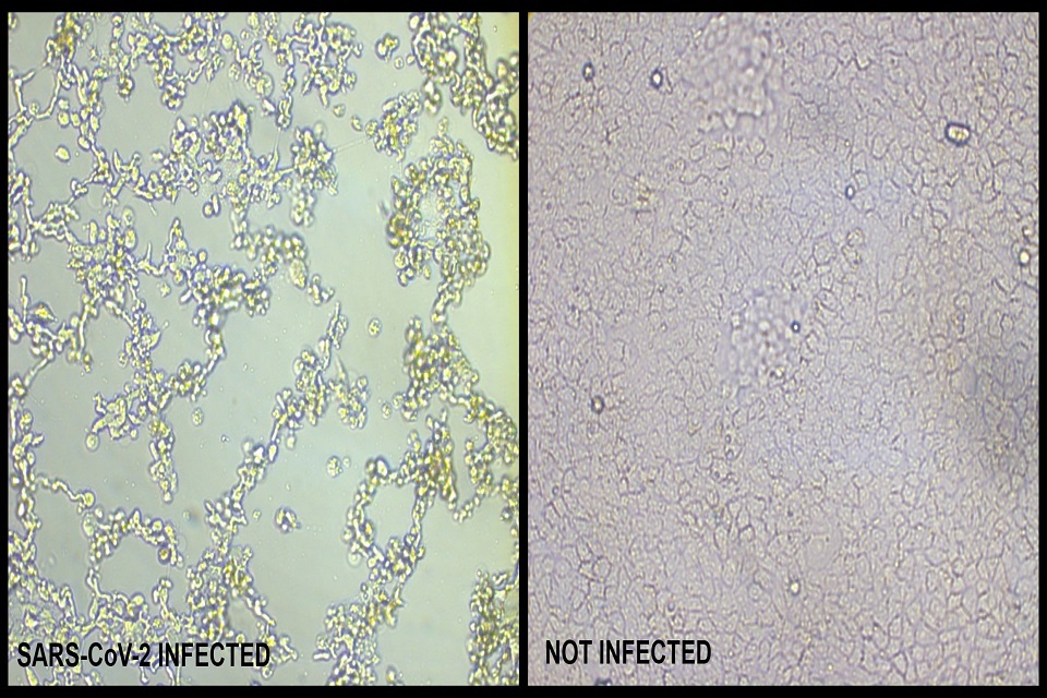Dstl release research on stability of COVID-19 in the air