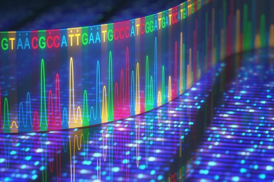 Image of DNA sequencing