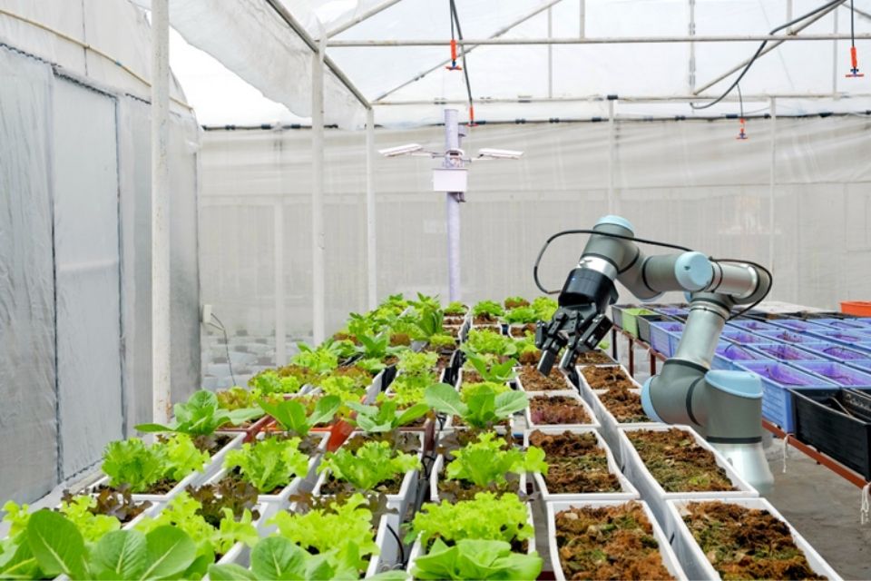 Image showing robotic arm for 'smart' farming.