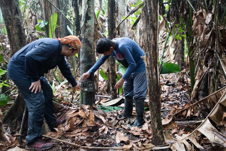 Image of 2 researchers in a Colombian forest with measuring equipment.