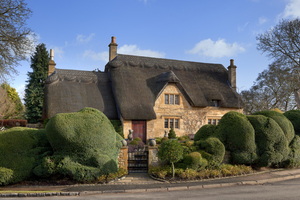  Honey-coloured, thatched cottage