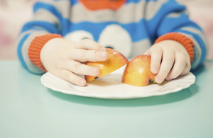 Close-up of a toddler's hands holding pieces of apple