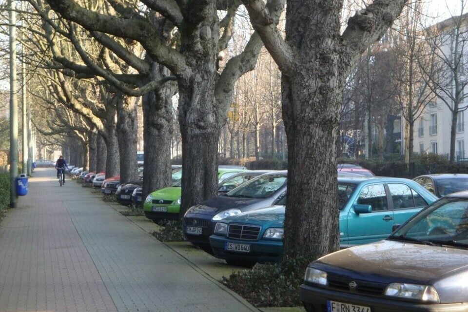 Tree pits in parking bays