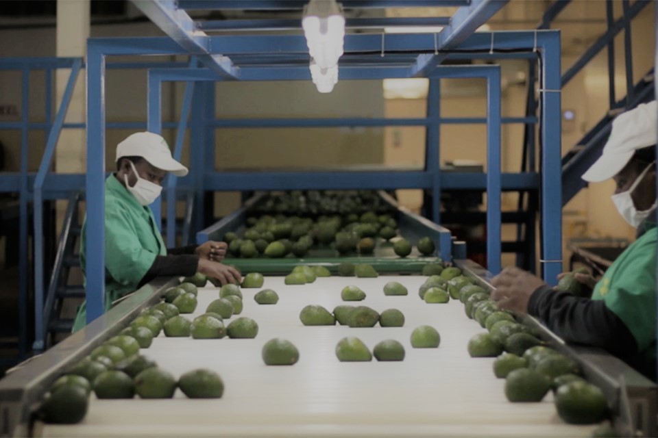 UK aid to protect high street supply chains