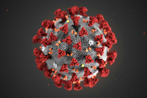 COVID illustration showing ultrastructural morphology exhibited by coronaviruses