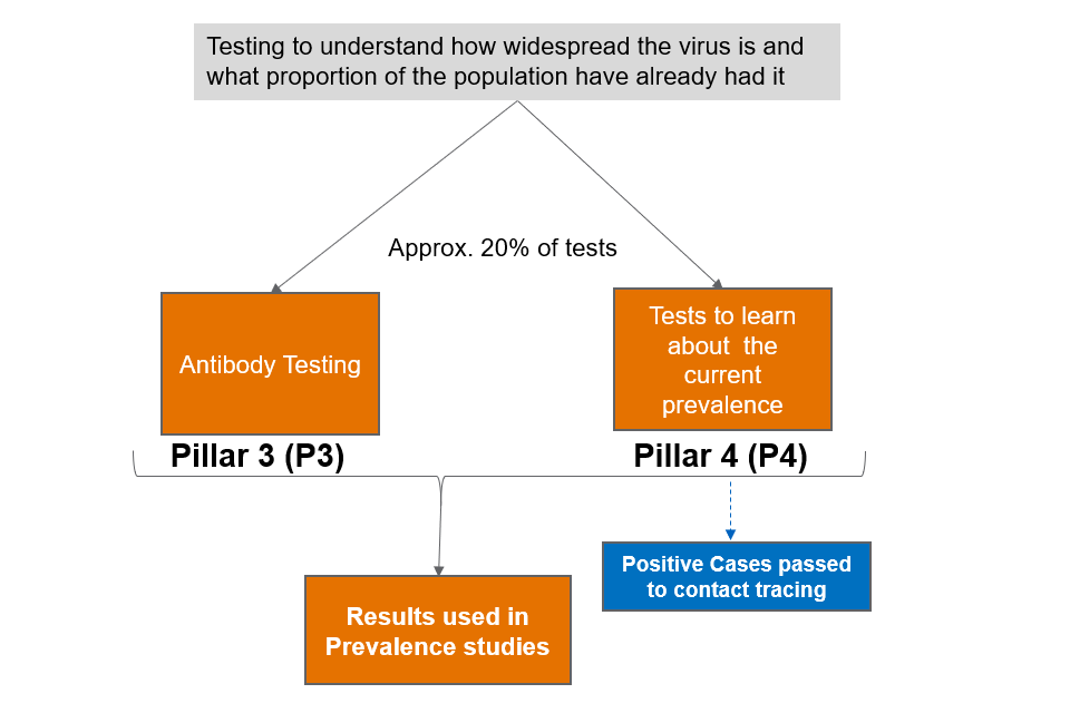 A diagram showing the process of antibody testing in the UK to understand how widespread the virus is.
