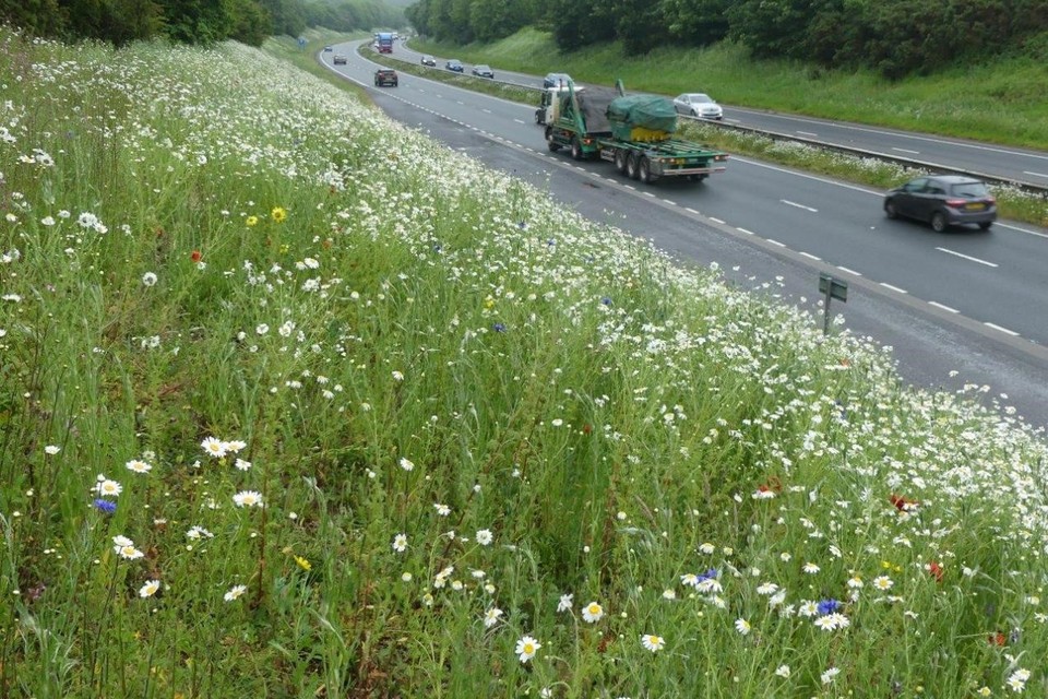 Flower power to help car journeys this bank holiday