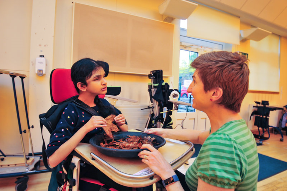 Ofsted support for area SEND arrangements this autumn term