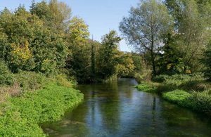 A river with trees on the banks