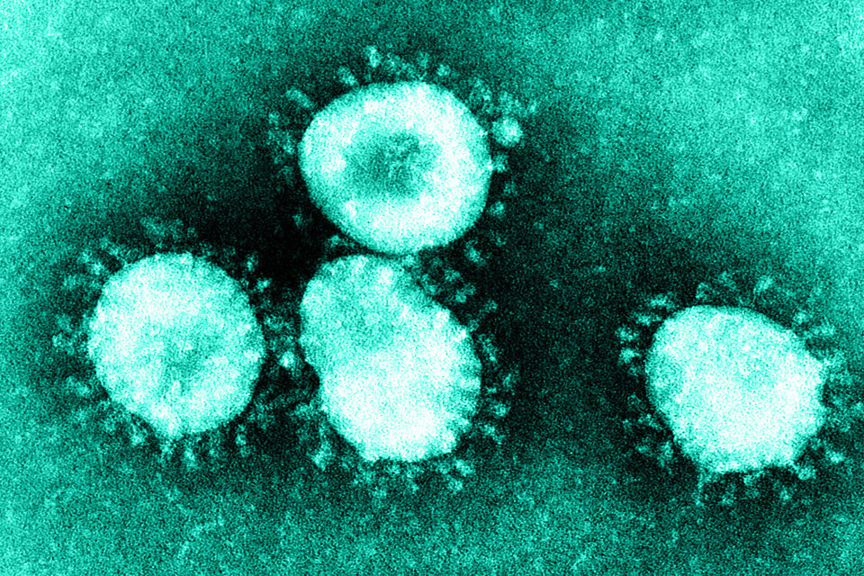 Warfarin and other blood thinners – reminder on safe use during COVID-19 pandemic