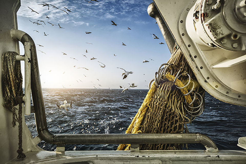 Guidance to support commercial fishermen, merchants and exporters following the UK/EU Trade and Cooperation Agreement.