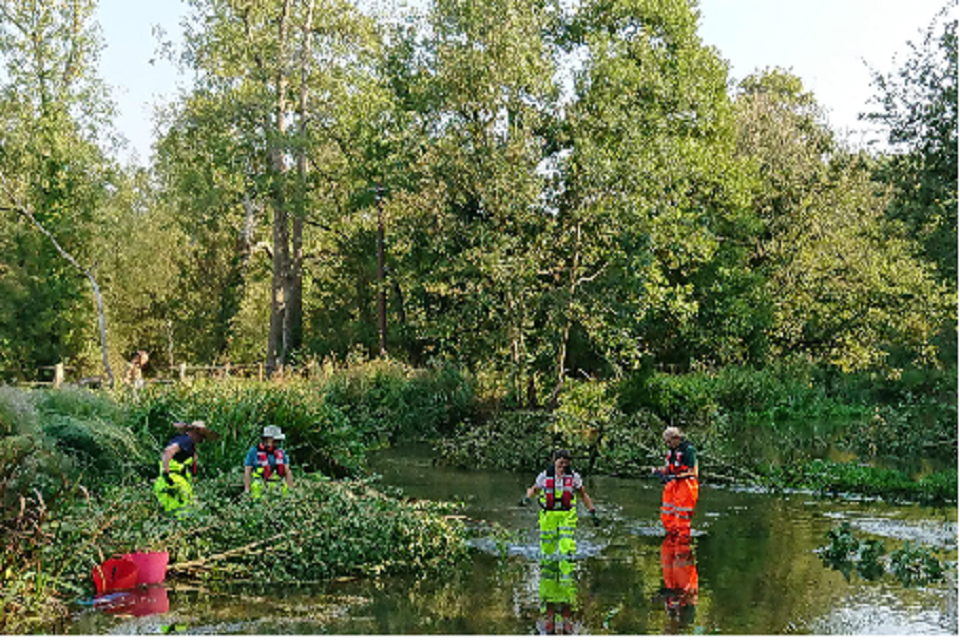 Joint restoration project on River Avon helps improve habitat diversity