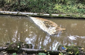Image shows the net set across the Kilton Beck