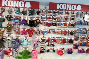 Photo of Kong dog toys along a wall in a pet shop