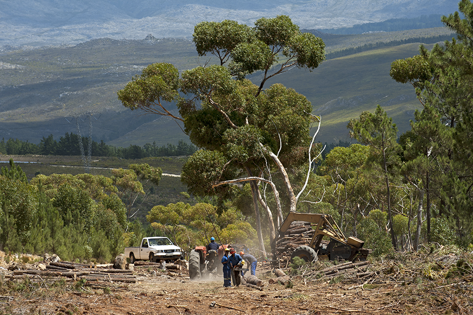 UK Space Agency wins global award for sustainable development