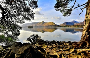 A scenic image of a lake in the Lake District in Cumbria. With twisted roots in the foreground belonging to a tree, and a calm, still waterfront of the lake in the background with dramatic fells looming behind,