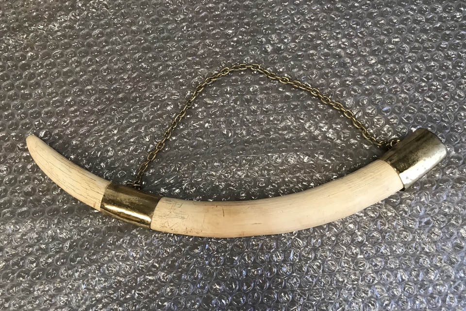 Elephant tusks seized by Border Force during international operation against wildlife crime