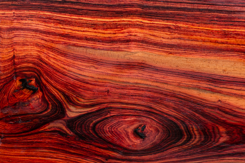 Antique industry urged to check guidance for trade of animal and furniture products from 1 January 2021