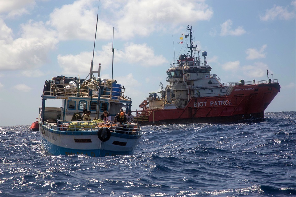World’s most remote island helps UK exceed protected ocean target