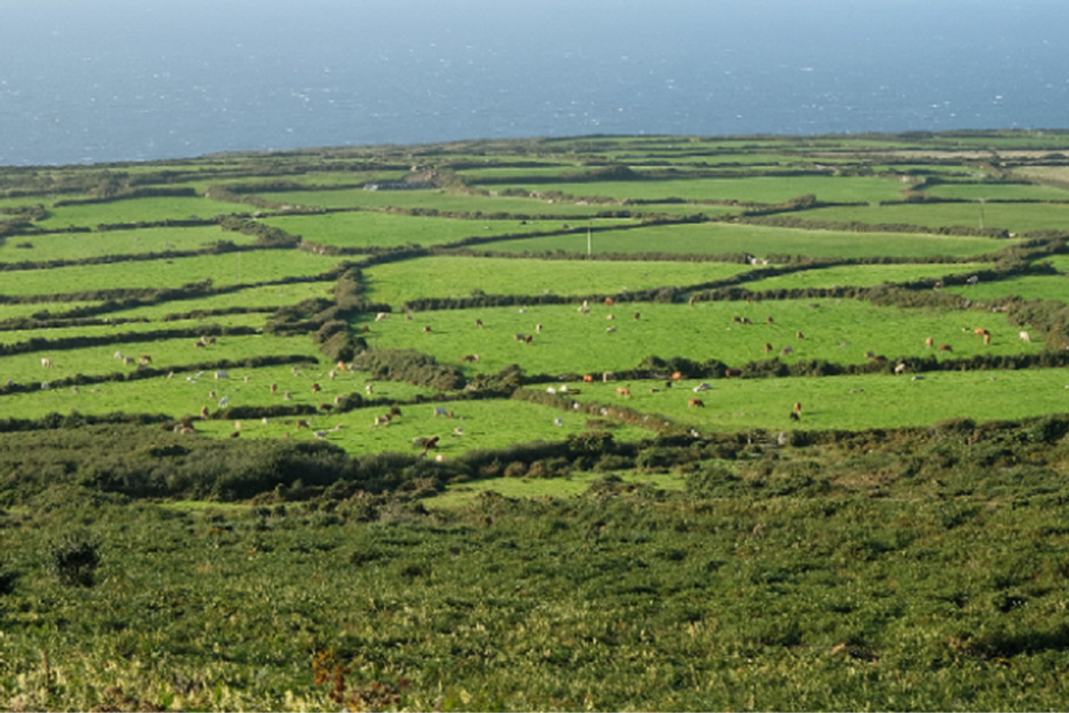 Updated rules for farm workers arriving in England