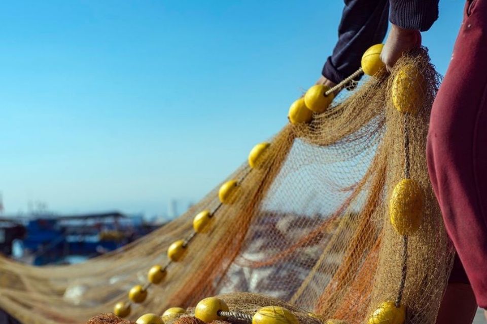 Fish Export Service trial period