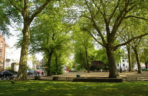 Image of trees with a gravel path in front