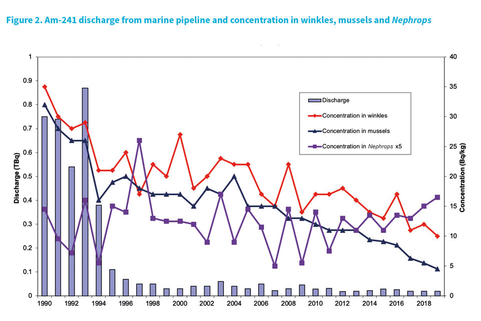 Am-241 discharge from marine pipeline and concentration in winkles, mussels and Nephrops