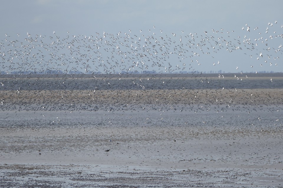 England Coast Path: Proposals published for Norfolk and Lincolnshire