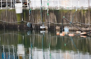 A pond on the Sellafield site