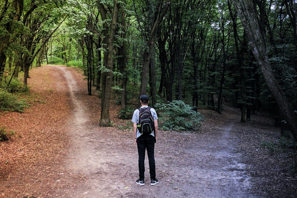 Introducing the Government Data Quality Hub