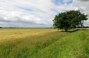 Farming landscape