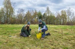 Image of two people planting a tree in a field