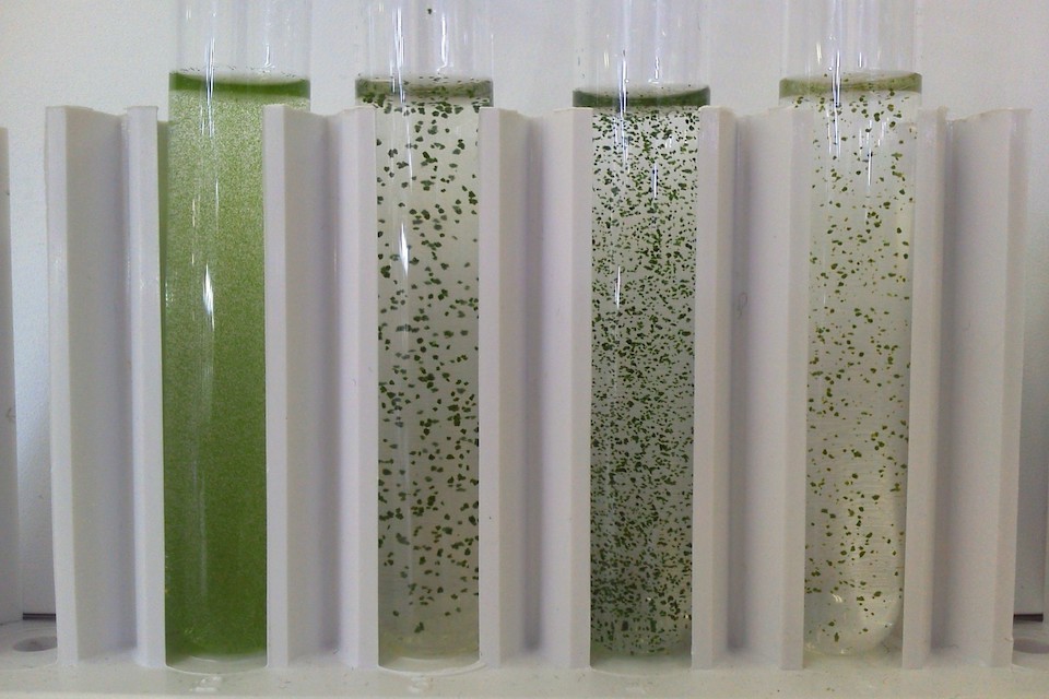 Sustainable fuels to power RAF jets