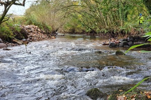 Image of a clear, shallow  river running over rocks surrounded by trees