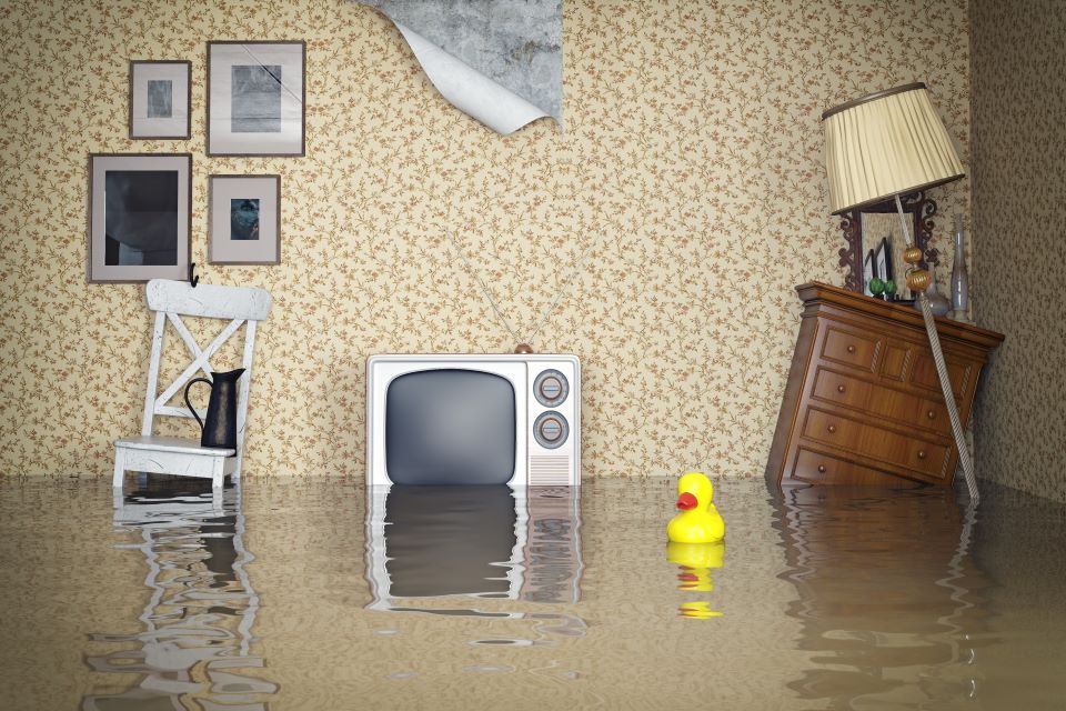 Flooded lounge. The TV, chair and sideboard are all in the water and a plastic duck is floating on the floodwater.
