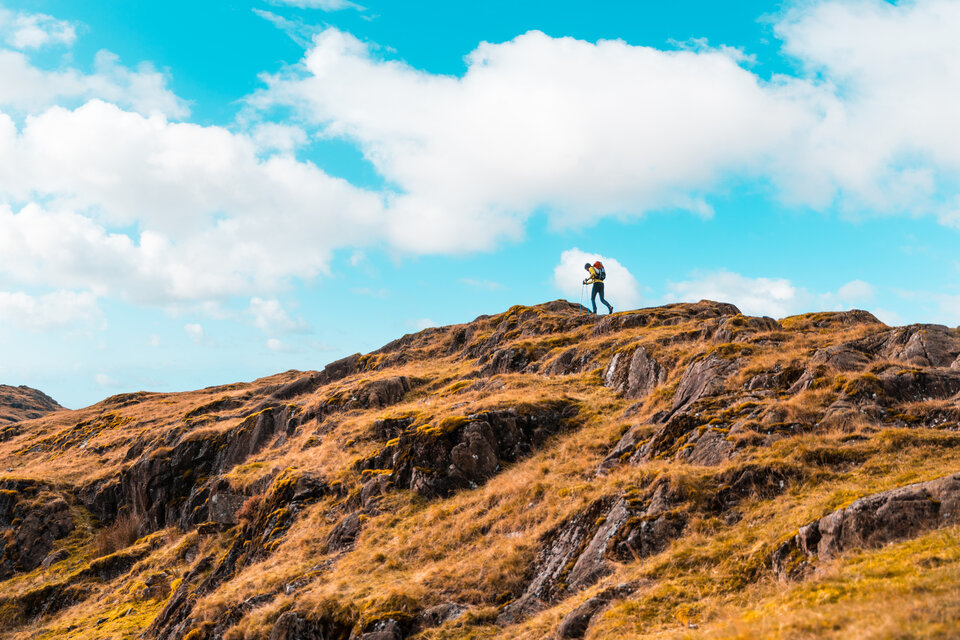 New sites to test how connecting people with nature can improve mental health