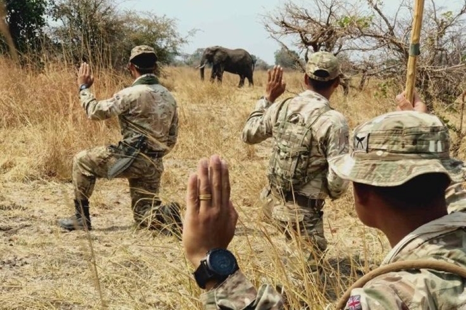 British troops train Zambian rangers to catch poachers