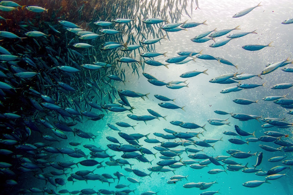 UK signs agreement with ICES demonstrating commitment to international marine science collaboration
