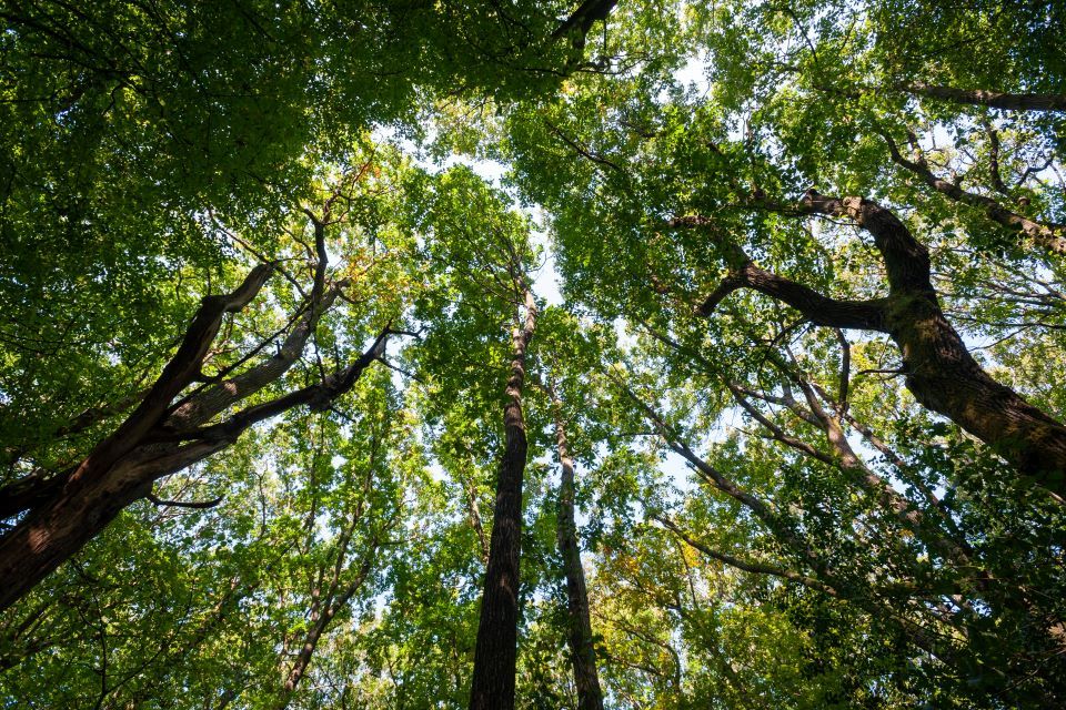 Protecting and enhancing biodiversity at the Northern Arc, Burgess Hill