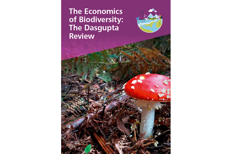 Nature is a blind spot in economics that we ignore at our peril, says Dasgupta Review